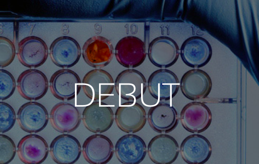 Debut Challenge